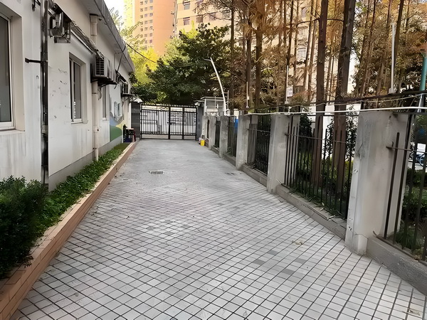 宫主闯天下