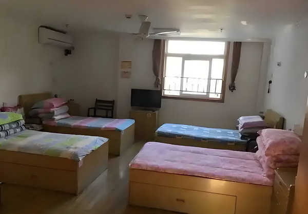 捡枚杀手做农夫