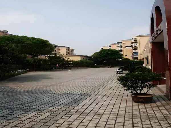 盛宠宫心